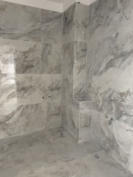 1 Decembrie 1918, Theodor Pallady, Lidl,