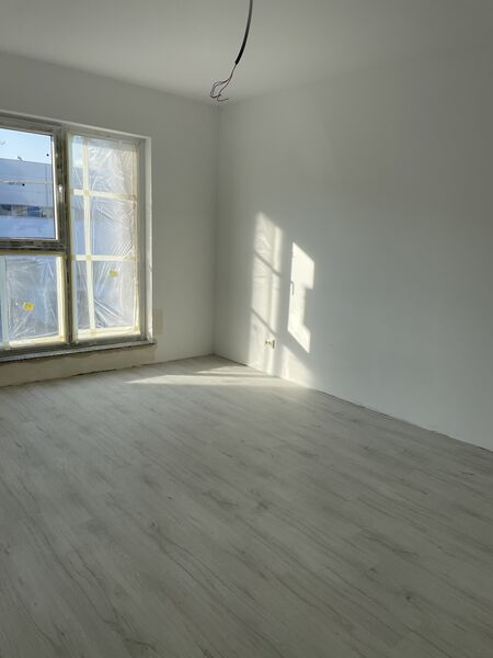 1 Decembrie 1918, Theodor Pallady, Lidl,