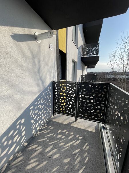 1 Decembrie 1918, Theodor Pallady, Lidl,