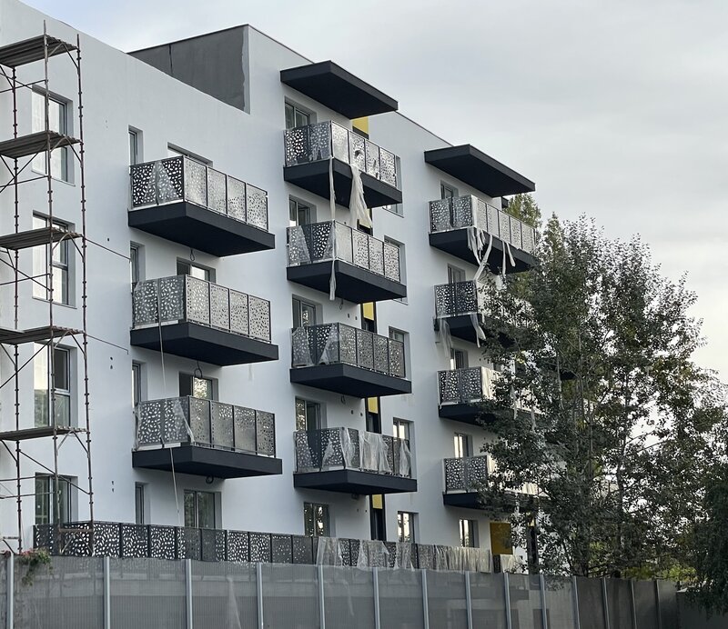 1 Decembrie 1918, Theodor Pallady, Lidl,