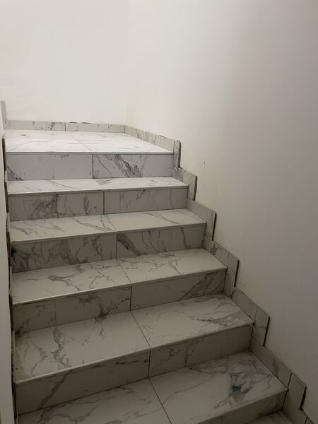 1 Decembrie 1918, Theodor Pallady, Lidl,